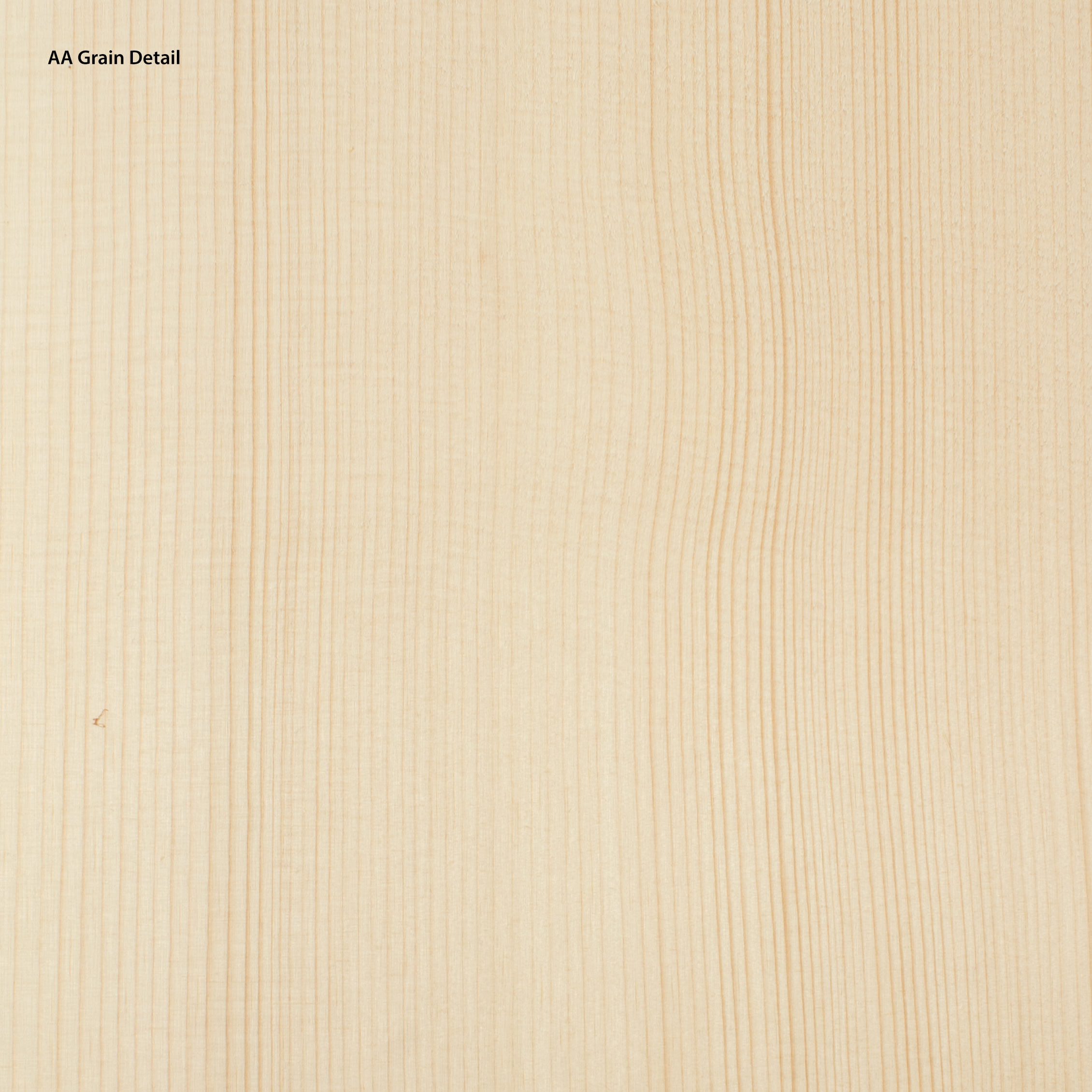 Red Spruce Top Wood for Mandolin or Violin