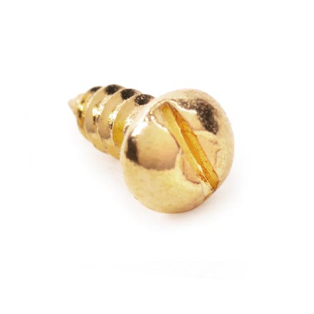 Tuner Screws for Slotted Pegheads, Slotted, gold