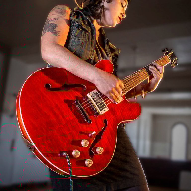335-Style Electric Guitar Kit