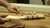 LMI Pre-Carved Classical Neck - Luthier Tips du Jour Mailbag