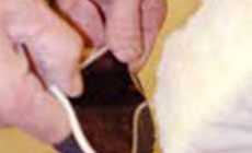 Buffing the pickguard