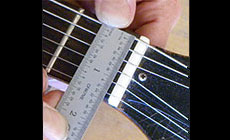 Gibson nut