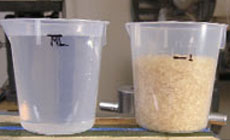 Glue mixing cups