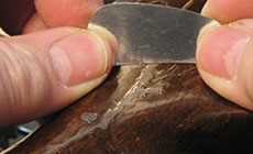 Oval scraper