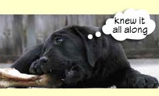 Photo: Woof!